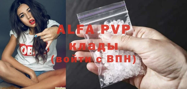 амф Каменногорск
