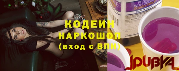 шишки Козловка