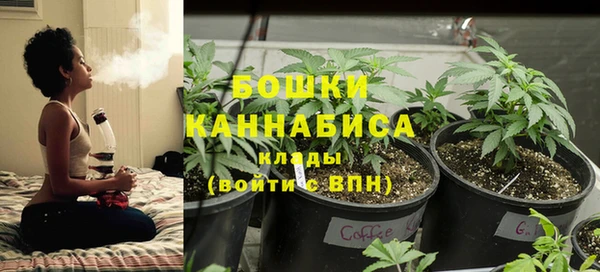 apvp Козельск