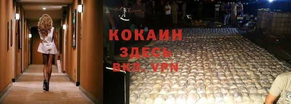 шишки Козловка